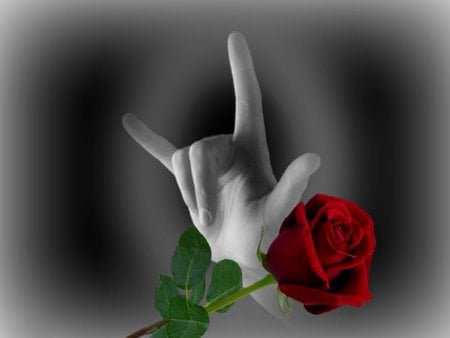 Hand Sign - sky, sign, red rose, hand