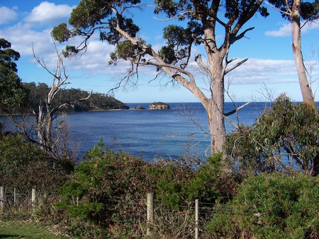 Beauty of Creation - island, beauty, trees, sea