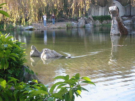 Japanese garden - japan, lake, water, garden