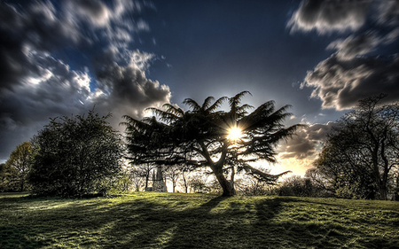 Sunset on hill - sky, hills, trees, hot, sunset, view, clouds, green, grass