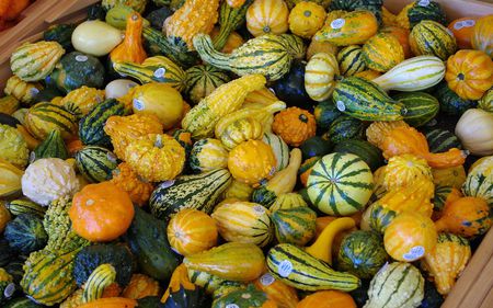 Fall produce - various, produce, fall, small, gourds, colourful