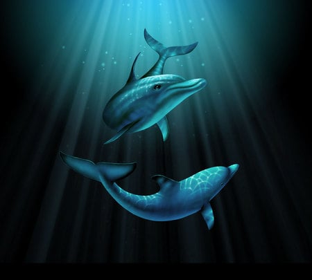 Porpoise - rays, ocean, swim, free, blue, light, dolphins, glide