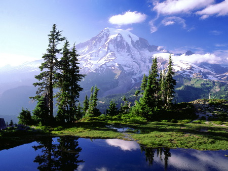 the blue mountains - trees, water, lake, grass, mountains, sky