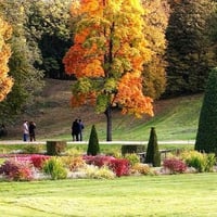 Autumn park