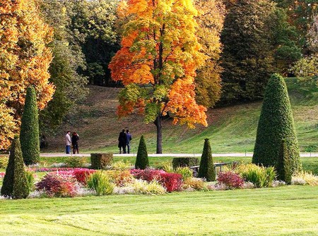 Autumn park - trees, people, bushes, gold, grass, change, orange, flowers, autumn, red, color, park