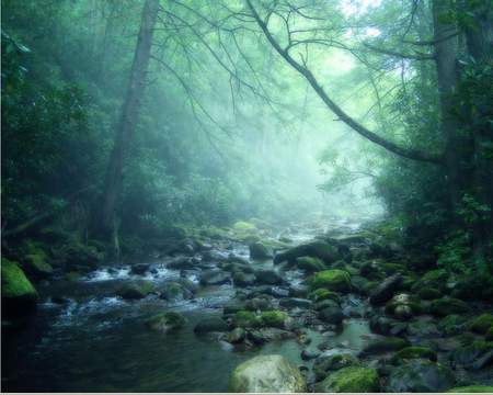 Misty Creek - rocky, beautiful, creek, mist