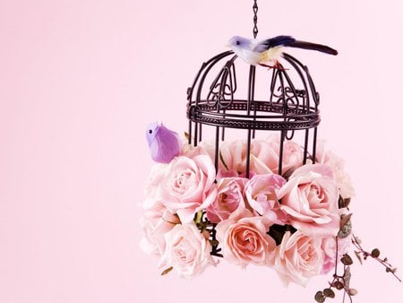 Bird Cage of Pastel Roses - roses, animals, blooms, still life, bird, nature, tiny, pink, petals, bird cage, apricot, flowers, ponk roses, birds