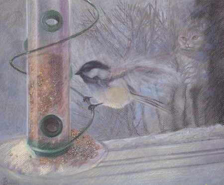 Chickadee - feeder, trees, winter, watching, chickadee, cat