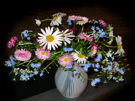 Flowers - photography, flowers, still life, daisies, vase