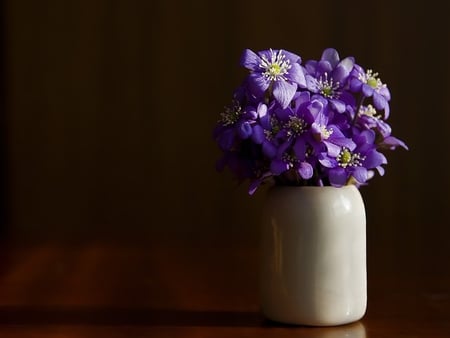 Flowers - purple, photography, flowers, still life, vase