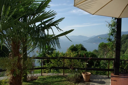 Lago Maggiore - garden, palm, holiday, relax, lago maggiore