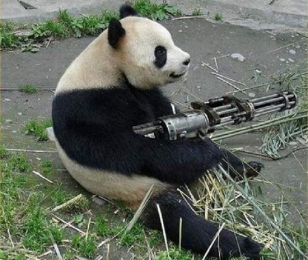 I'll Show You Endangered - gun, panda, humour, black and white, endangered