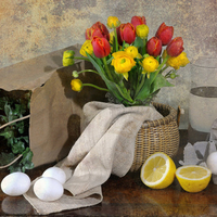 Tulips and eggs