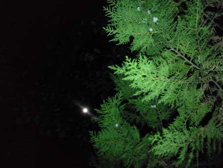 la luna greetings in summer  time... - natur, forces fof nature, rainbows, sunsets, moonlight