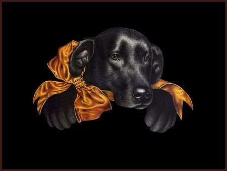 black lab - ribbon, holiday, bow, dogs, black, lab