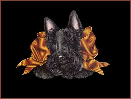 PRetty scotty dog - dogs, holiday, black, scotty dog