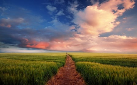 Path To Nowhere - beauty, sky, sun, peaceful, colorful, field, meadow, sunset, path, road, spring, cloud, clouds, green, grass, fields, landscape, way, light, nature, beautiful, splendor, somewhere, colors