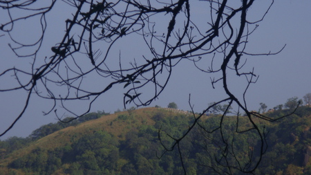 Trees, hills and the sky - y, a, p, z