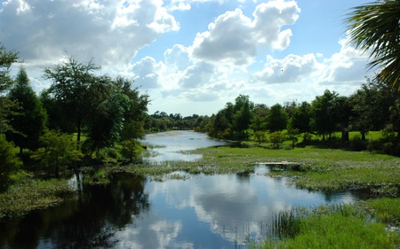 Into a River Blue - sky, trees, reeds, nature, reflection, blue, river, beautiful, clouds, green, grass