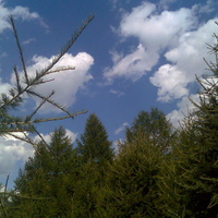 good italian alps summer mountain...