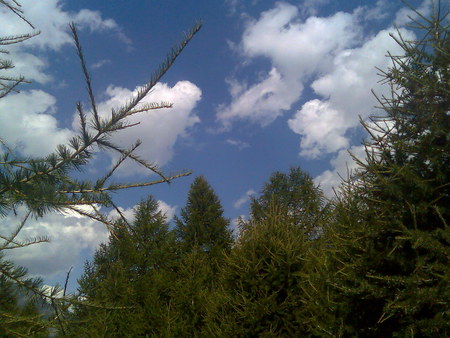 good italian alps summer mountain...