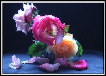 Beauty blooms - purple, pink, petals, orange, leaves, flowers, green table