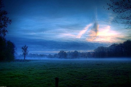 Silence - trees, evening, green grass, blue sky glimmer of light, blue sky, haze, mist