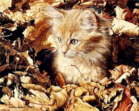 Autumn Lady - kitten, cat, leaves, painting, autumn