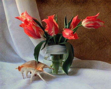 still life - nice, photography, tulips, water, bouquet, still life, crab, vase, cool, beautiful, shell, flowers, photo, flower, harmony