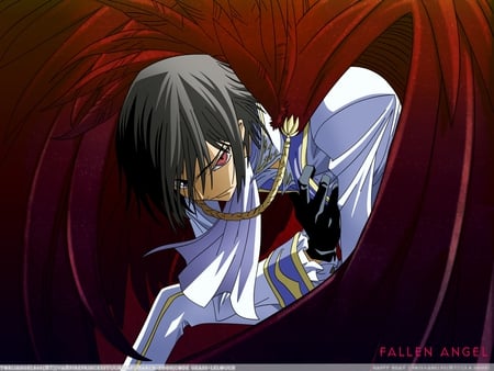 Fallen Angel - lamperouge, anime, king, angel, lelouch, code geass