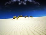 White Desert Sand