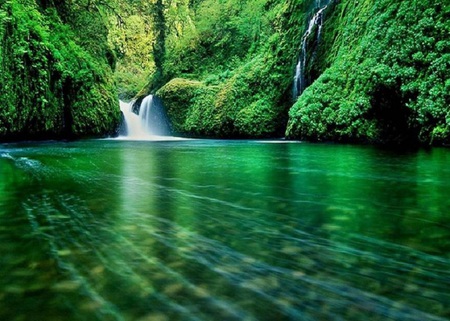 Green Cascade - green, trees, waterfall, river