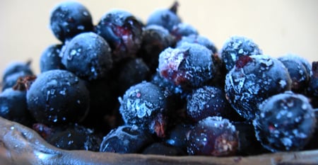 Blueberry - berries, food, blueberry, blue