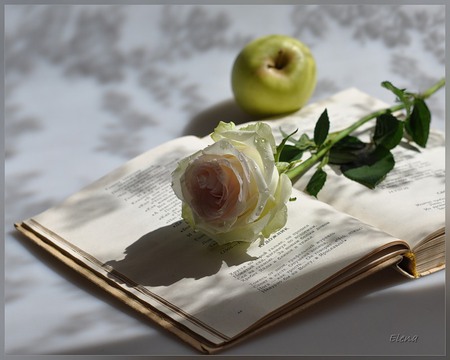 Secret admirer - book, beautiful, stem, flower, shadow, white, petal, fruit, apple