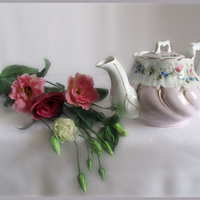 still life