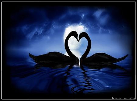 Love in the blue - sky, heart shape, swans, mates, clouds, blue, water