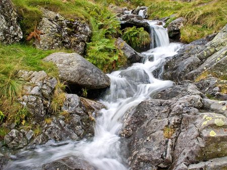 Waterfall on Dovedale Beck - water, cascade, moss, shrubs, rocks, ferns