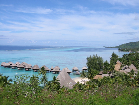 Luxury Holiday - sand, clear, bora bora, bungalows, trees, ocean, paradise, calm