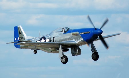 The Mustang - aircraft, mustang, ww2, military