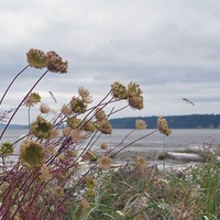 Fall at Livingston Beach