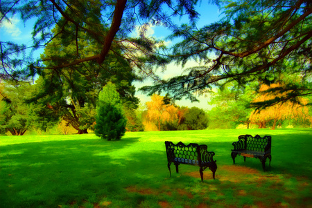 Peaceful sitting - green, bench, landscape, grass