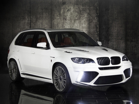 Mansory BMW X5 - x5, white, mansory, 2011