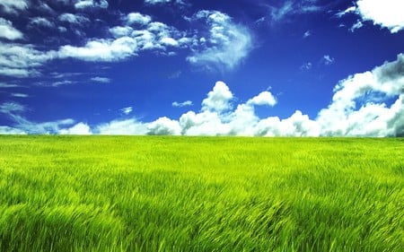 Energy Bliss - sky, blue, clouds, green, field