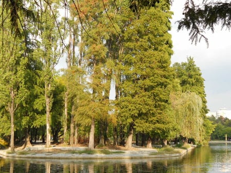 Island - island, lake, trees, green