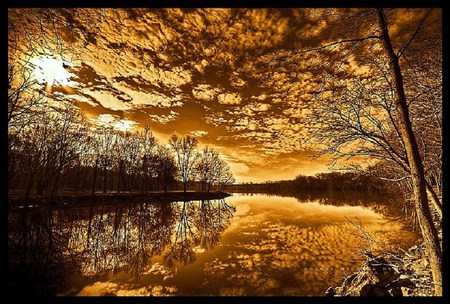 Dappled gold - reflections, clouds, golden color, trees, shore, sunset, dappled sky, lake