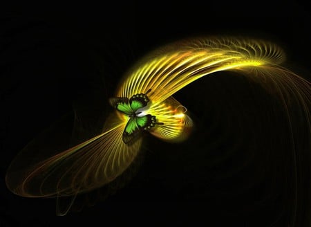 FLY AWAY - fly, butterfly, factual, yellow, green