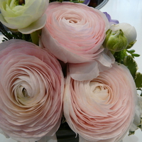 bouquet