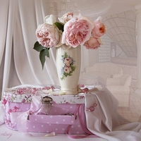 still life