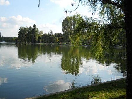 Afternoon - sky, lake, afternoon, green