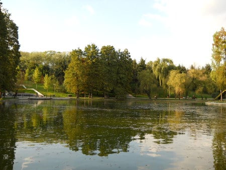 Afternoon in the park - lake, afternoon, park, green